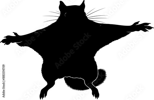 Frontal view gliding flying squirrel silhouette vector art