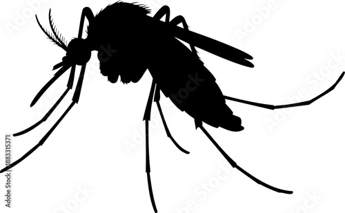 Side profile mosquito silhouette in feeding pose vector illustration for medical diagrams