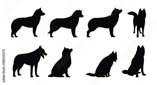 Siberian Husky Dog Silhouette Set in Various Poses Isolated on White Background. Vector Illustration