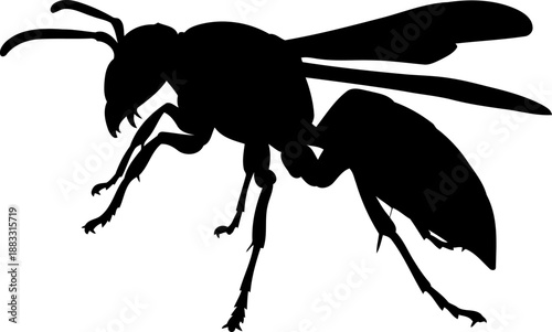 Stinging wasp hornet silhouette side view vector art for pest control and biology