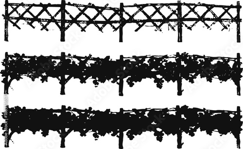 grape vine trellis silhouettes in different growth stages, vineyard plant support structures, nature farming