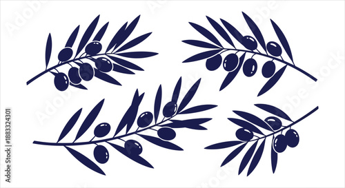 Set of Artistic Vector Illustrations Featuring Olive Branches with Ripe Olives, Perfect for Mediterranean Designs