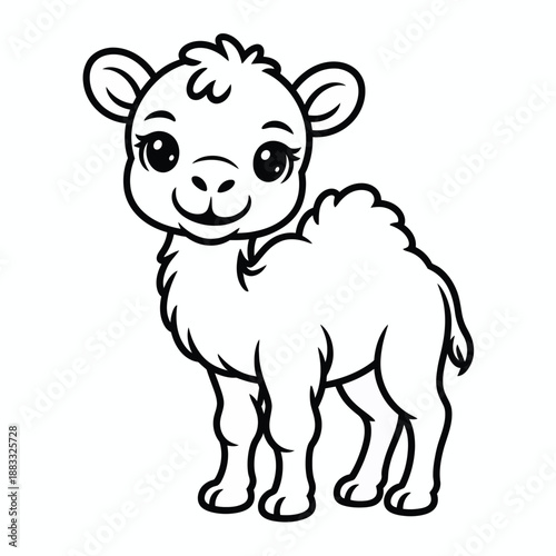 Cute baby llama standing isolated on white background, Vector, illustration