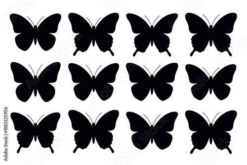 Black Butterfly Silhouettes on White Background