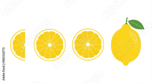 Refreshing Citrus Lemons and Detailed Slices Array for Healthy Food and Drink Concepts