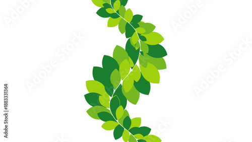 A winding stem with overlapping green leaves cascades down, set against a pristine white background