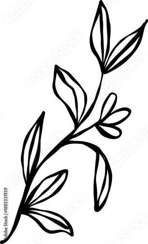 Zweig gezeichnet für Taufe und Erstkommunion,der Glaube an Gott, Christen, Einladung zur Konfirmation, Firmunf, Taufe, Heirat, vektor.