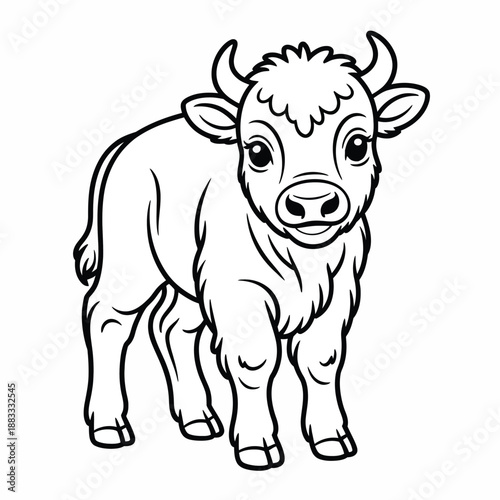 Adorable baby cow standing isolated on white background, Vector, illustration