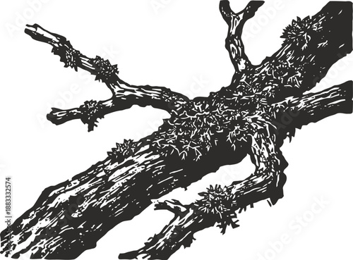 Rough tree branch with textured bark and small spiky growths illustration in black and white