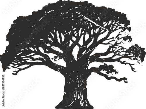 Silhouette of a large spreading tree with dense branches and leaves