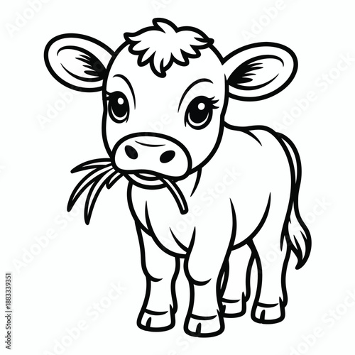 Playful calf chewing grass isolated on white background, Vector, illustration
