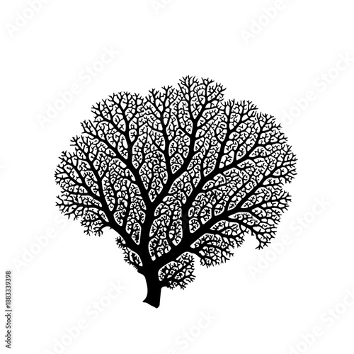 A detailed black and white illustration of a branching tree silhouette.