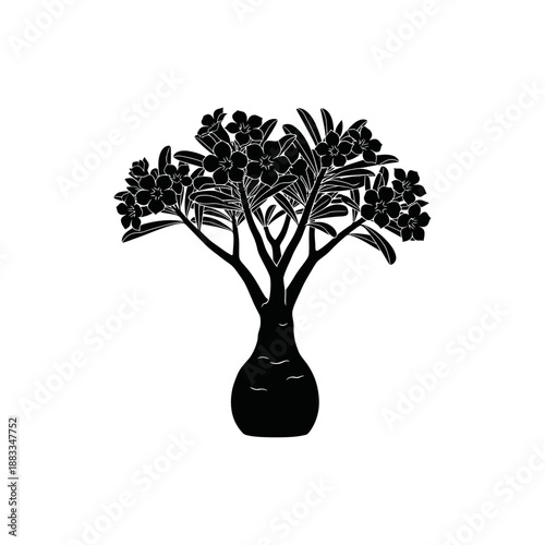 Adenium Silhouette, captivating silhouette of an adenium plant, showcasing its distinctive swollen stem, delicate leaves, and intricate flower clusters. A symbol of resilience and natural beauty, rose