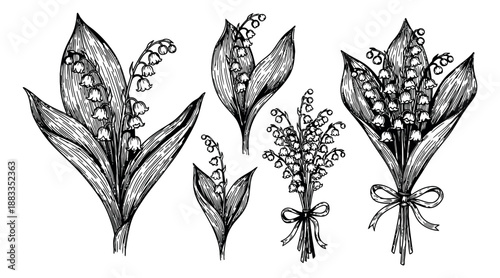 Hand drawn line art lily of the valley floral set featuring botanical sprigs, delicate bells, and bouquets for spring designs