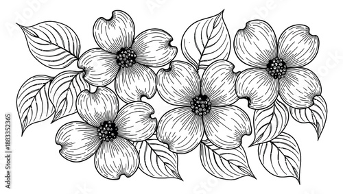 Hand drawn line art floral set featuring dogwood flowers and leaves for nature designs