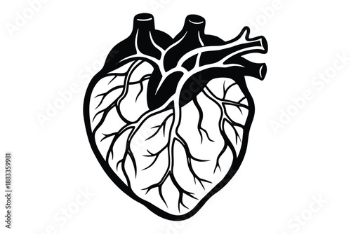 Black Silhouette Heart with Detailed Arterial Vessel Network vessels arteries cardiovascular system anatomy
