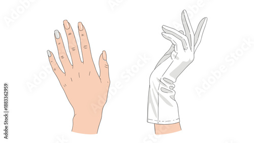 Comparison between a bare human hand with manicured nails and an elegant hand wearing a white formal evening dress glove.