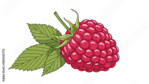 Ripe pink raspberry fruit with detailed drupelets and green serrated leaves on a stem isolated on a plain white background for food design.