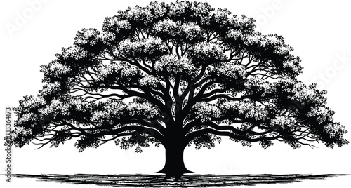 Majestic ancient oak tree silhouette with detailed branches and leaves, black and white nature illustration, isolated on white background, landscape art