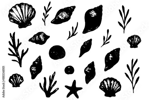 set of Coastal Sea Life,
Vintage Coastal Sea Life Blue Sketch Collection