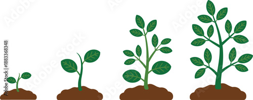 Cartoon plant growth stages icon set with sprout, leafy stem, branching structure, and mature foliage in soil mound.