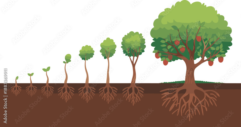 Obraz premium Cartoon tree growth stages icon set with seedling, expanding roots, leafy stem, and mature fruit-bearing tree lifecycle.