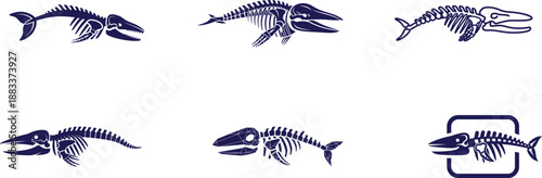 Set of various marine animal skeleton illustrations
