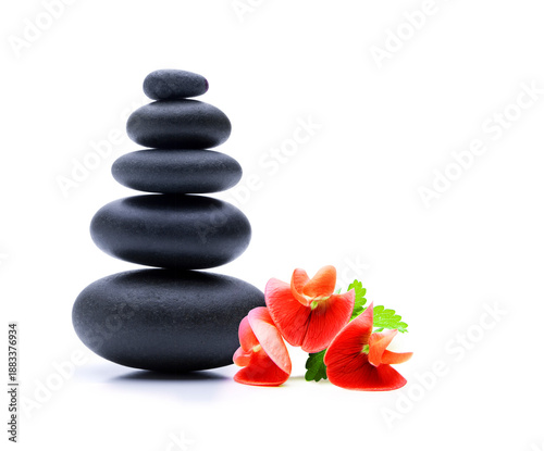 Schwarze Massagesteine vor weissem Hintergund