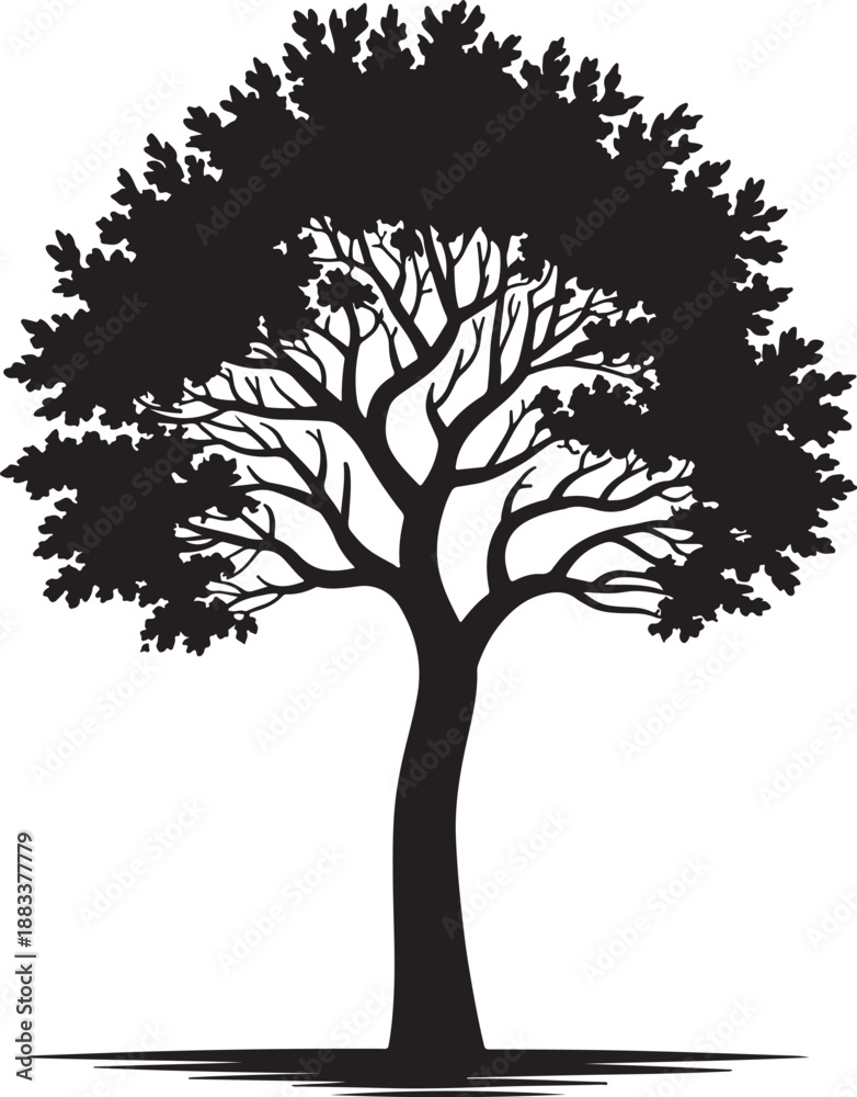 Obraz premium Majestic leafy tree silhouette with broad sprawling branches and dense foliage canopy standing isolated on white background, ideal for environmental conservation projects and nature landscape designs