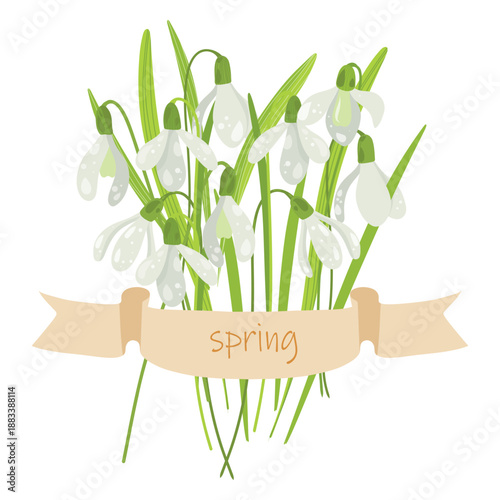 Snowdrop Spring Illustration, Floral Banner for Seasonal Cards. Spring Snowdrop with Ribbon Banner, Vector Ribbon for Invitations