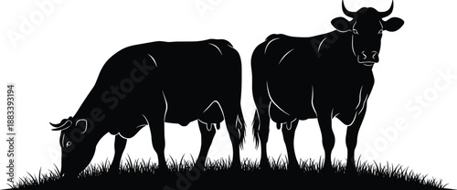 Black and white minimalist cow silhouettes grazing in a grassy field, modern graphic farm animal illustration, clean vector farm landscape,