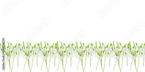 Snowdrop Border, Seamless Floral Border for Cards and Fabric. Spring Snowdrop Border, Vector Floral