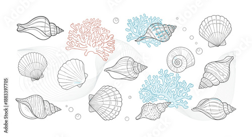 Detailed hand drawn sketches of various seashells and coral branches on a background with subtle wavy lines in a marine themed illustration.
