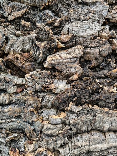 Natural cork bark as a background