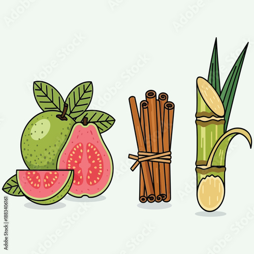 Fresh ingredients display mexican culture Vector