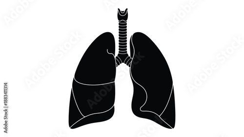 a detailed black and white silhouette of human lungs and trachea