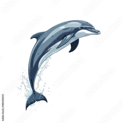 The Dolphin Design Very Cool 