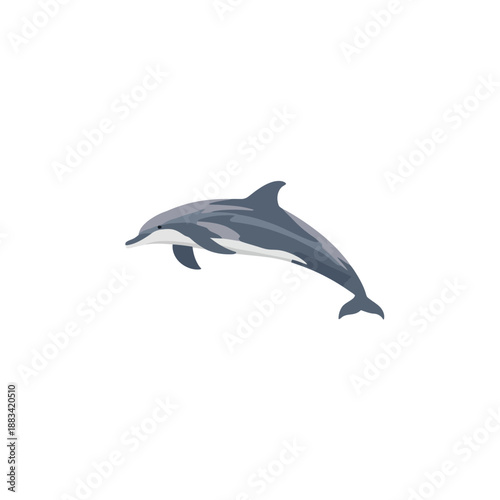 The Dolphin Design Very Cool 