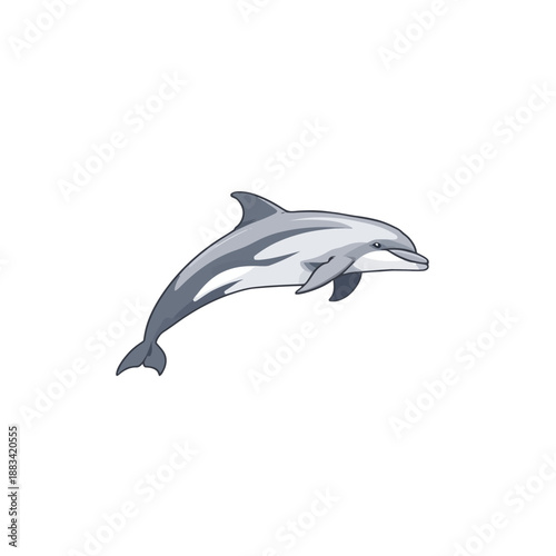 The Dolphin Design Very Cool 