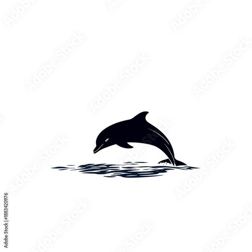 The Dolphin Design Very Cool 