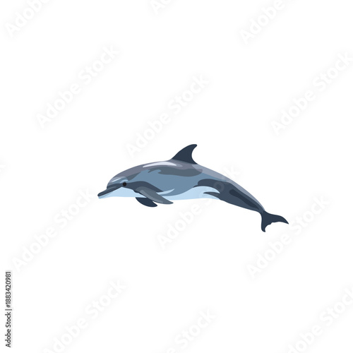 The Dolphin Design Very Cool 