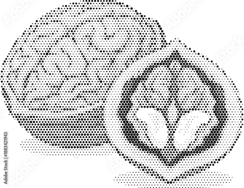 Walnuts Nut Healthy Snack Brain Food Halftone Illustration