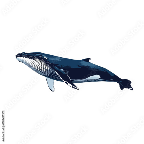 Whale Design Very Cool Animal