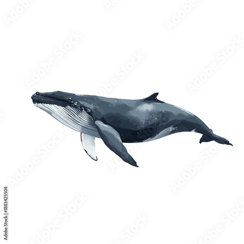 Whale Design Very Cool Animal