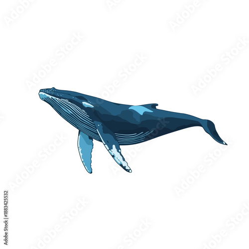 Whale Design Very Cool Animal