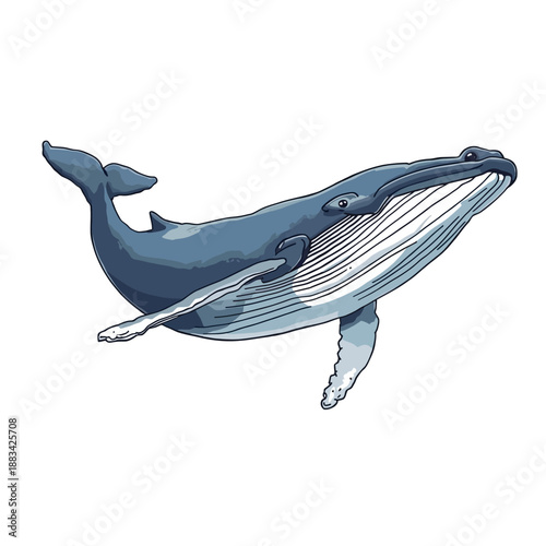 Whale Design Very Cool Animal