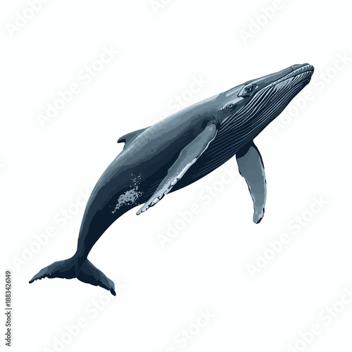 Whale Design Very Cool Animal