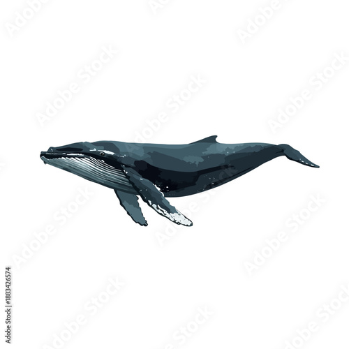 Whale Design Very Cool Animal