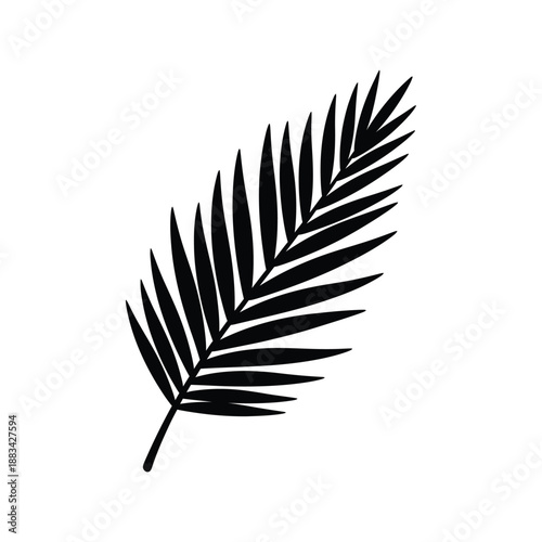 A black silhouette of a palm leaf on a white background