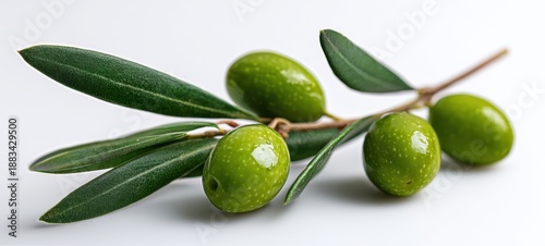 Wallpaper Mural The olive branch with glossy green olives and leaves on white background Torontodigital.ca